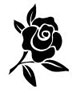a small black rose