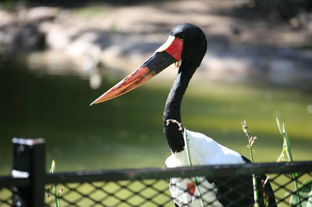 IMG_3043.JPG