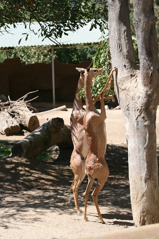 IMG_3176.JPG