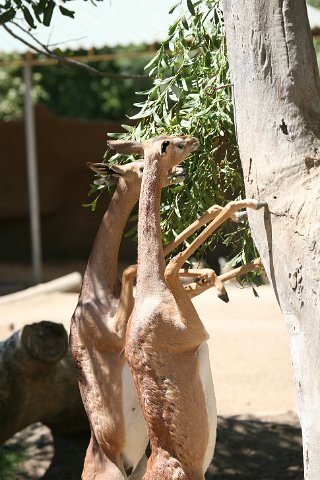 IMG_3180.JPG