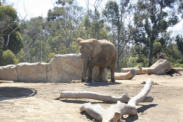 _MG_3150.JPG
