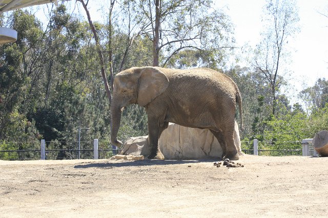 _MG_3151.JPG
