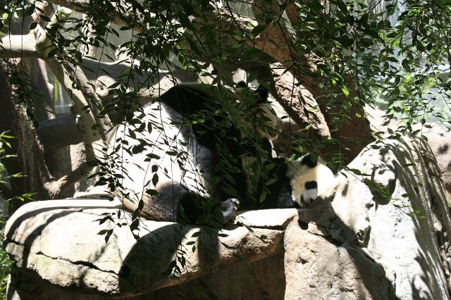 _MG_3213.JPG