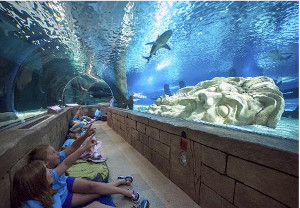 children sitting in the tunnel that goes through the aquarium