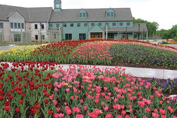 lots of red, pink and yellow flowers in front of the Arboretum Visitor Center