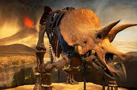 dinosaur skeleton