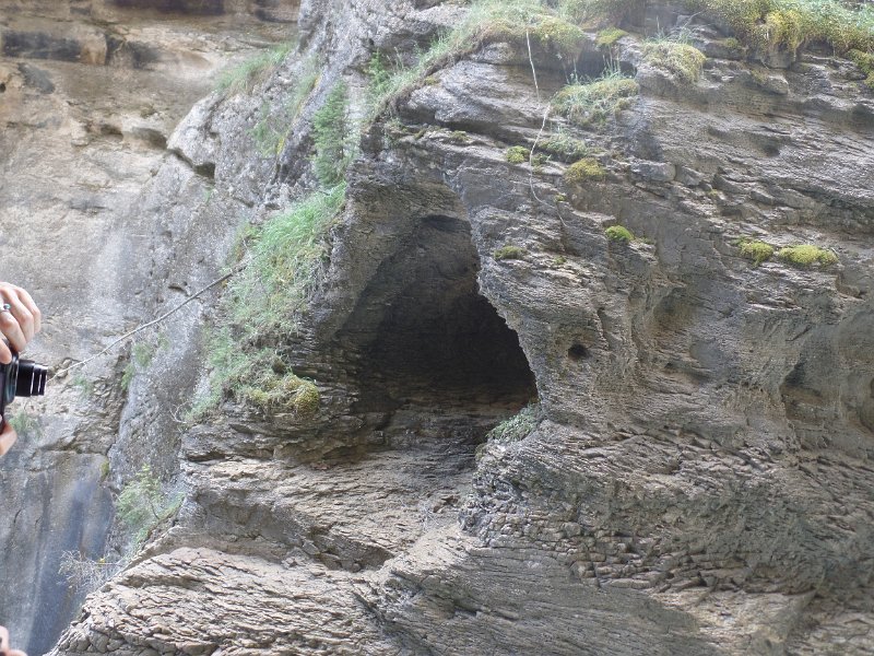 Original image