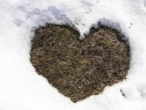 A heart-shaped section of grass shows through blanket of snow. 