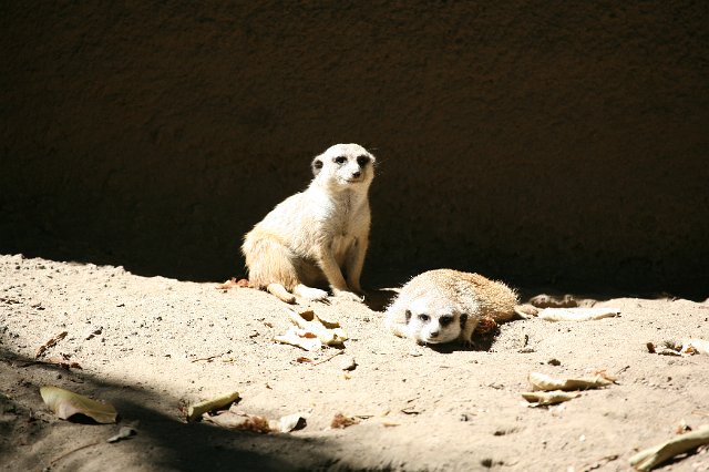 IMG_3123.JPG