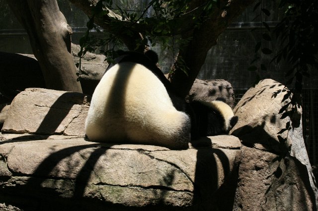 _MG_3217.JPG
