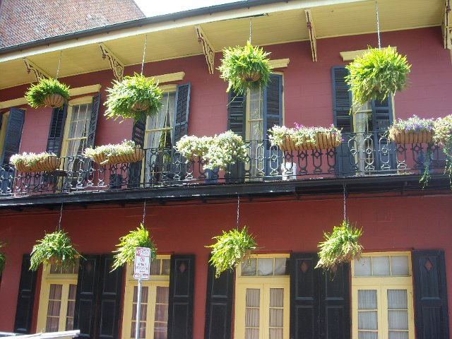DSCN0842.JPG