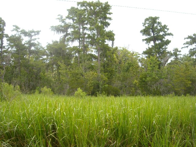 DSCN0904.JPG
