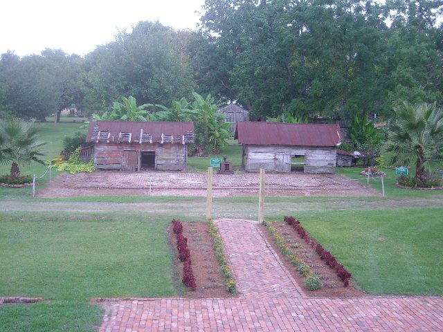 DSCN0968.JPG