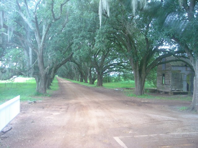 DSCN0974.JPG