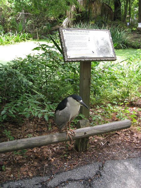 IMG_2868.JPG