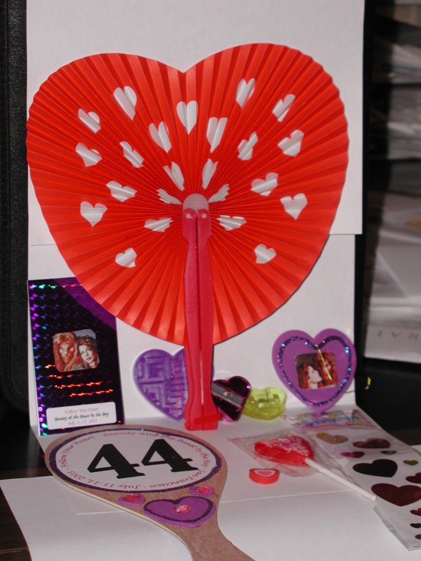 tote bag goodies: fan, auction paddle, notepad, lollipop, stickers