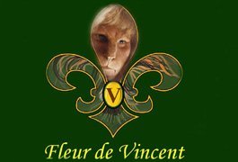 fdv_w