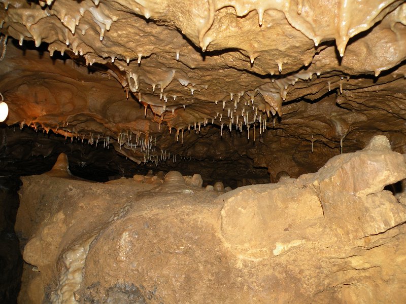Original image
