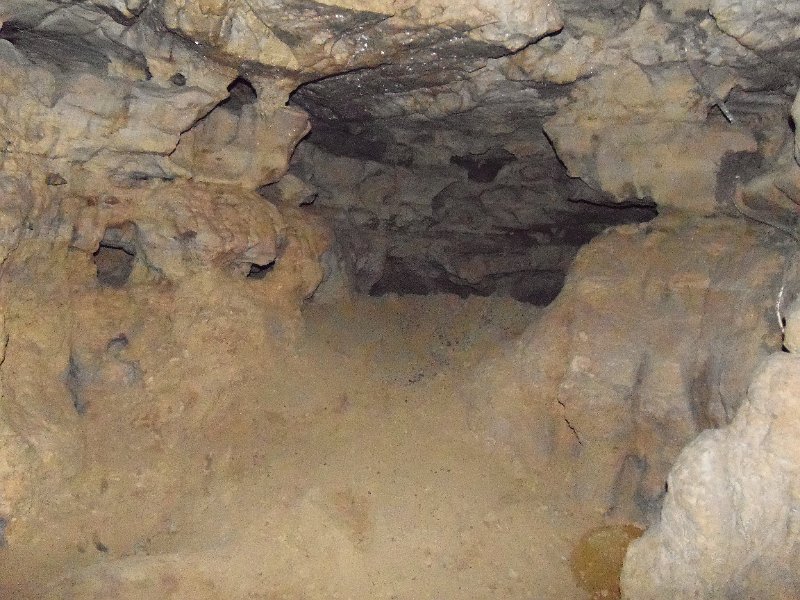 Original image
