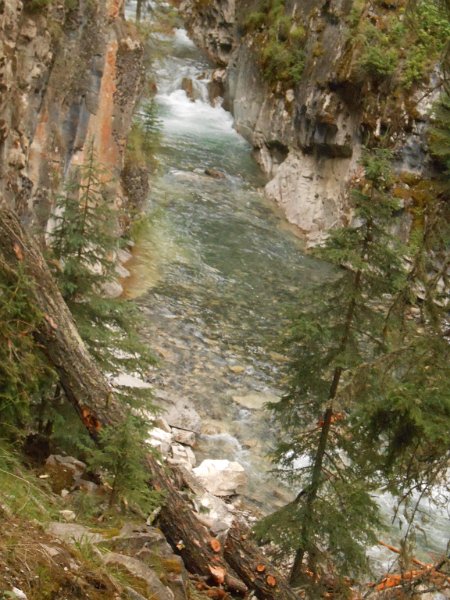 Original image