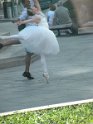 DSCN4429