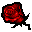 tiny red rose